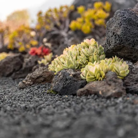 Semesterbostad Casa Alice Playa Blanca (Lanzarote)