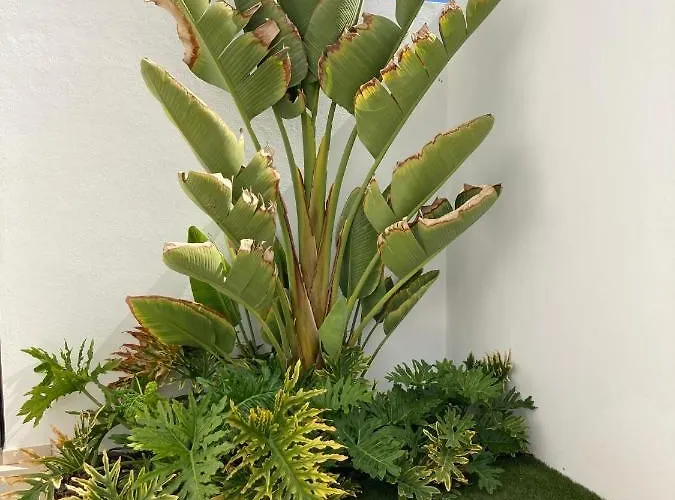 Holiday home Casa Alice *