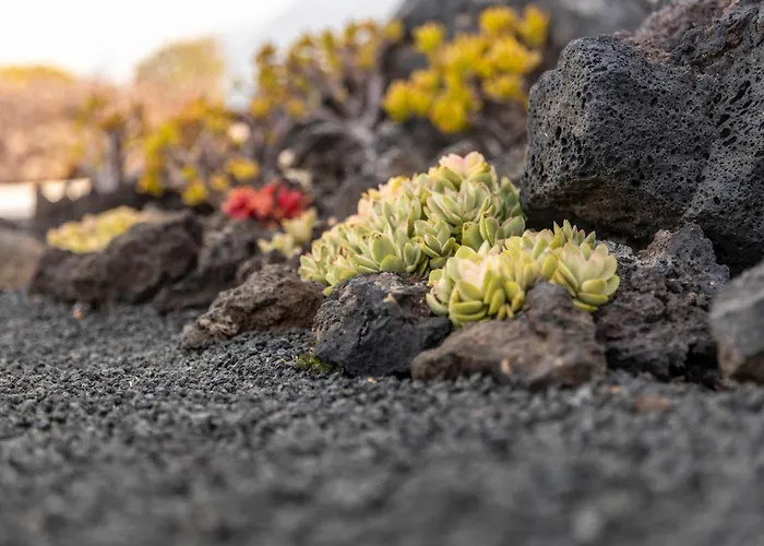 Holiday home Casa Alice Playa Blanca (Lanzarote)